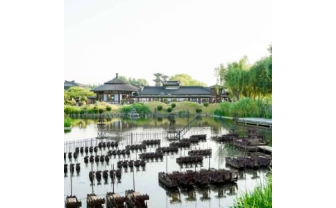 荆州拓展基地-荆州白马公园拓展训练基地